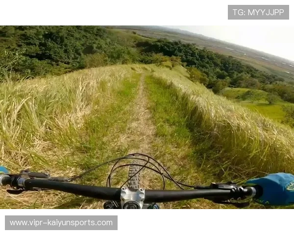 特色自行车越野赛，森林深处的速度较量，专业越野自行车特技,视频