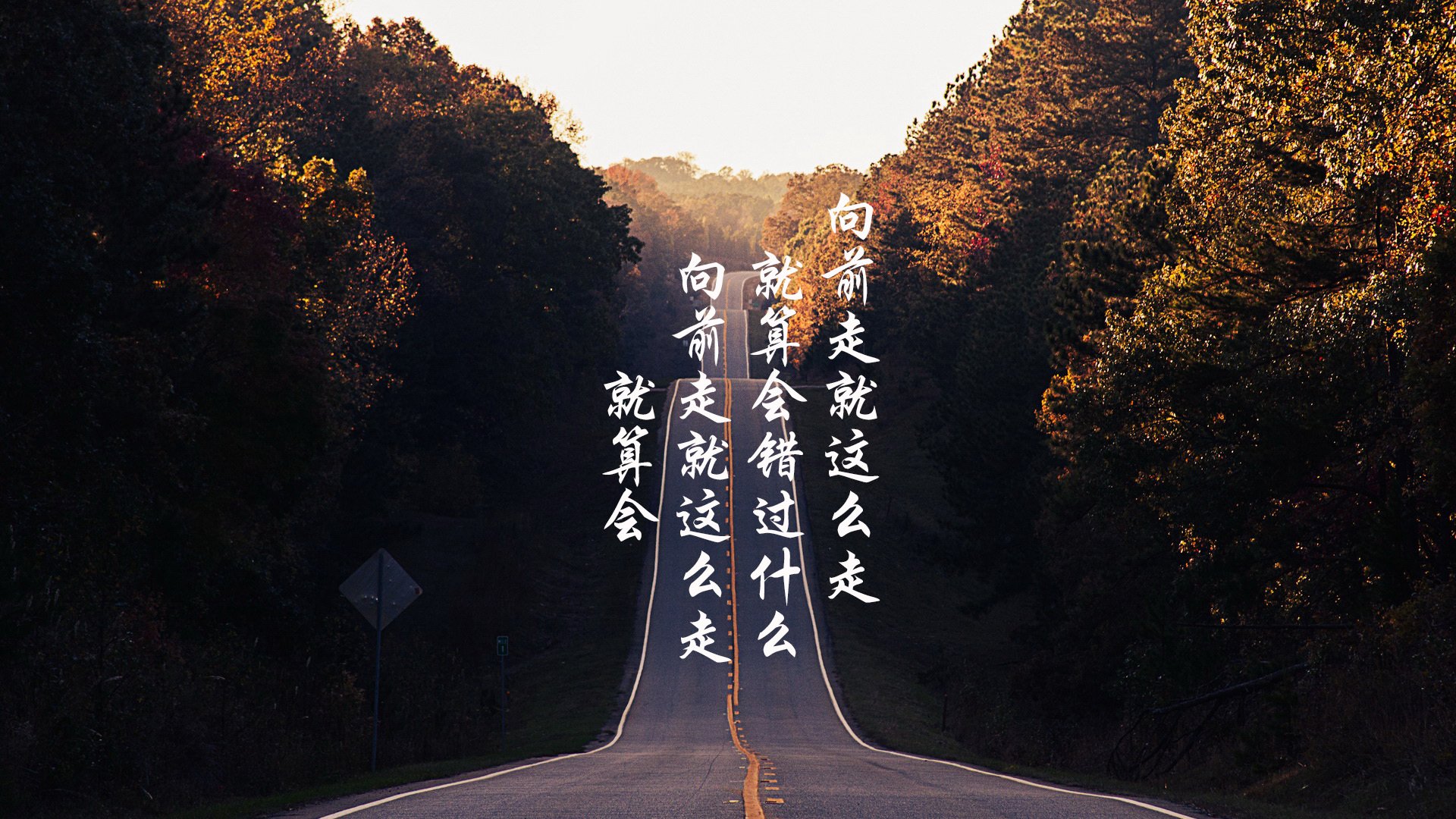 德甲主教练更替对球队战术稳定性影响，德甲各队主教练