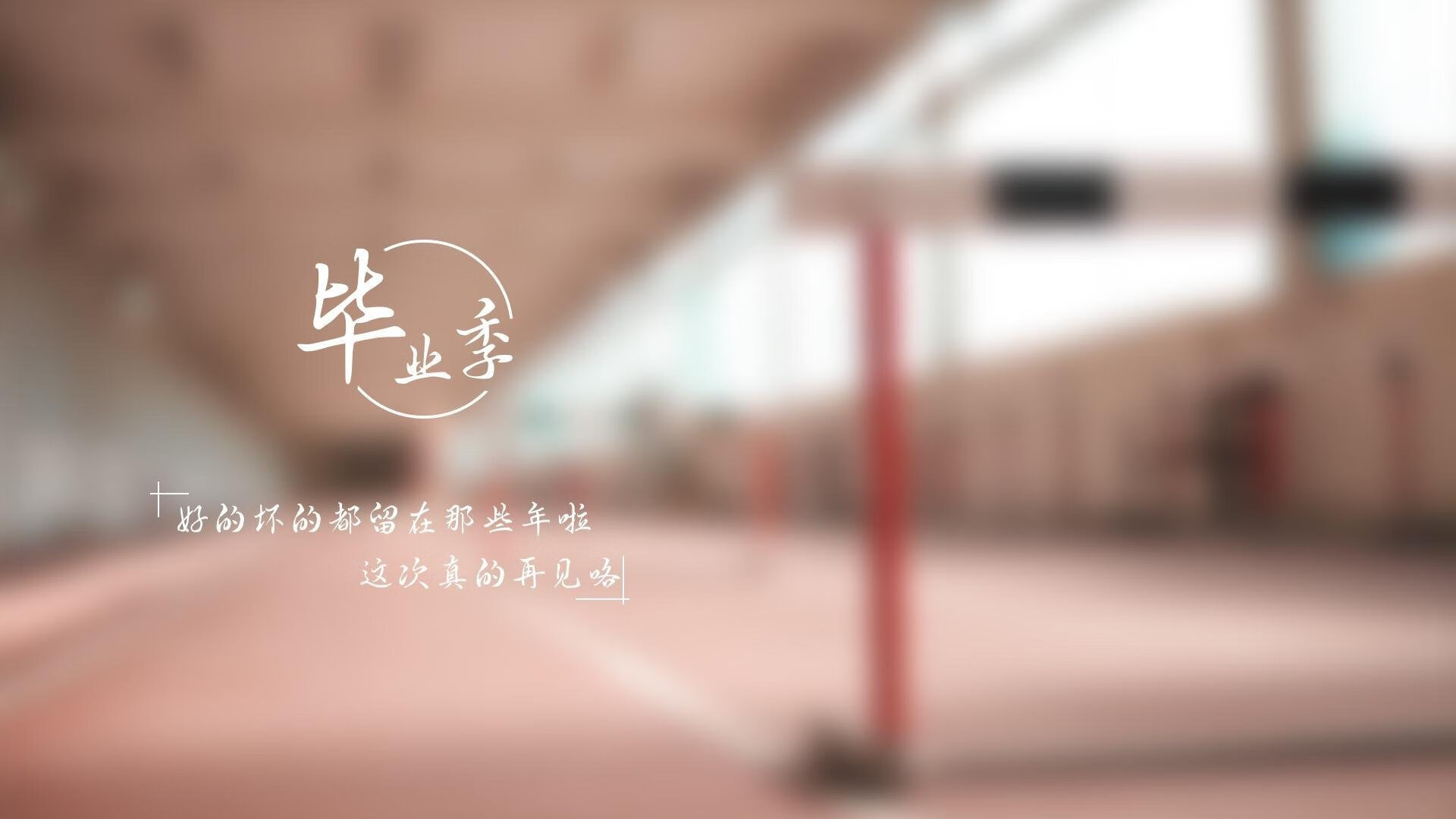 德甲主教练更替对球队战术稳定性影响，德甲各队主教练
