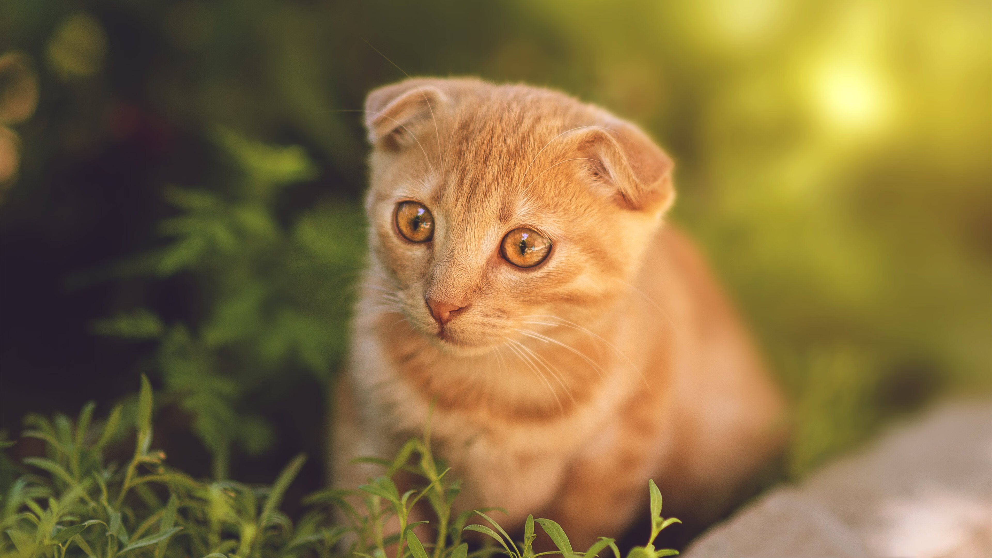 中国三人篮球女队展现团体凝聚力,中国三人篮球女子队