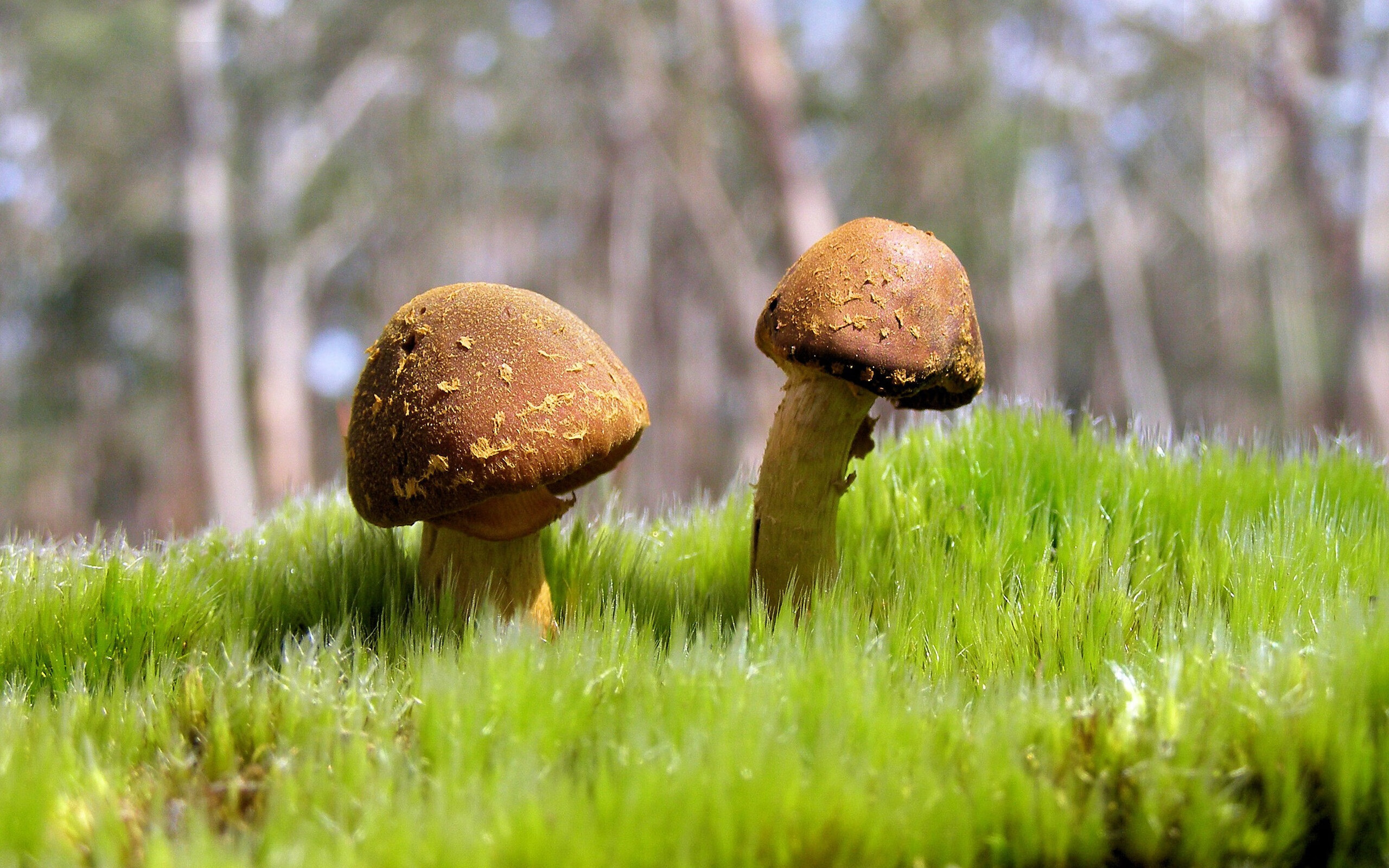 开云体育-五大联赛边锋助攻方式是否已从传统传中转向内切直塞，五大联赛最好的边锋