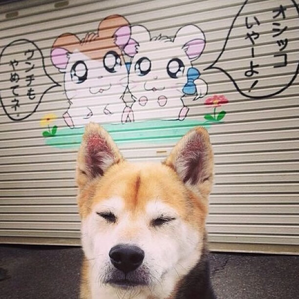 开运体育电脑版-体育新媒体论坛探讨转播技术与内容融合，新媒体时代的体育新闻传播