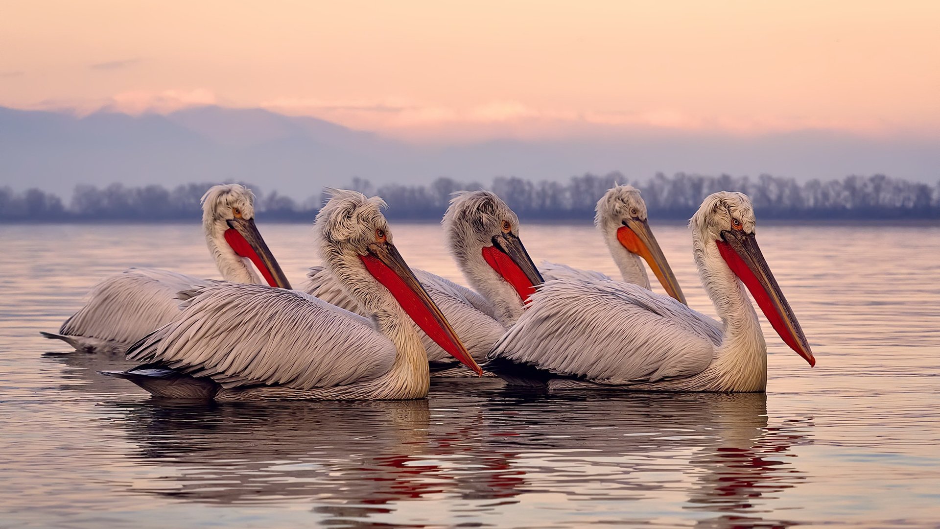 技术雷达图揭示动作优化成果,技术雷达图揭示动作优化成果的原因