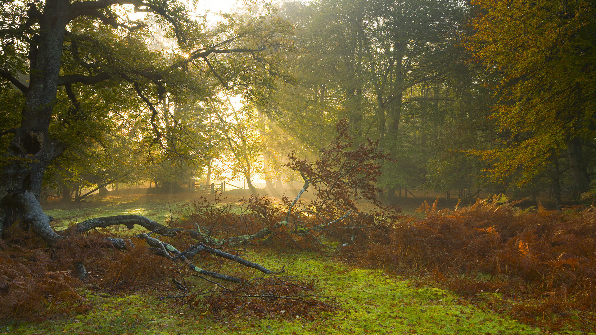 运动科技创新引领训练智能化时代,运动技术创新的重要意义