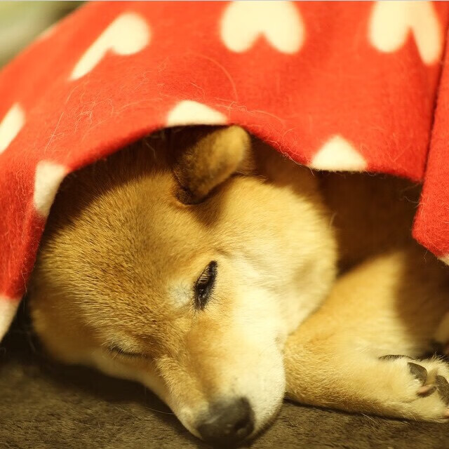 CBA新赛季口号发布展现联赛全新面貌,cba新赛季宣传片