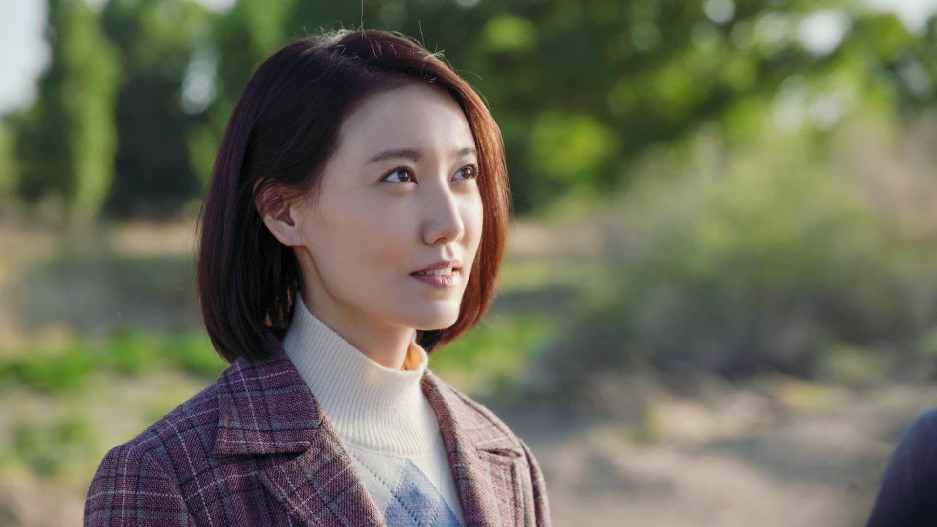 中国足球国家队大力推进战术传承计划,中国足球国家队大力推进战术传承计划的原因