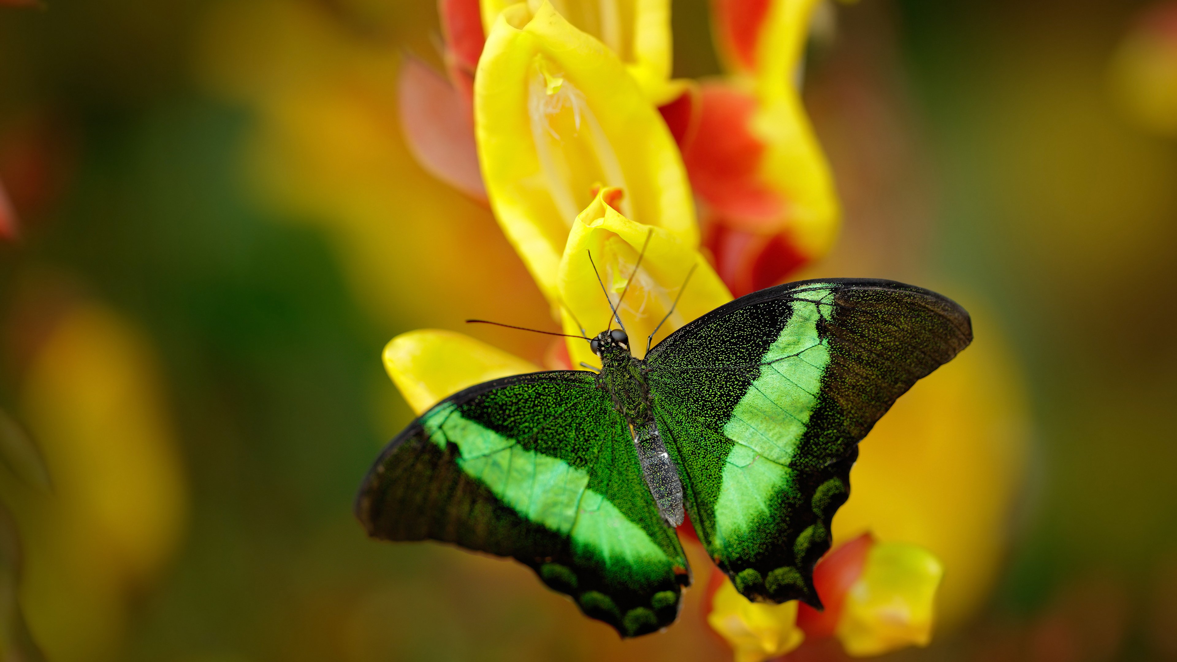 国际赛医务报告公布,伤病类型与预防成焦点,国际疾病分类及手术分类培训班考试