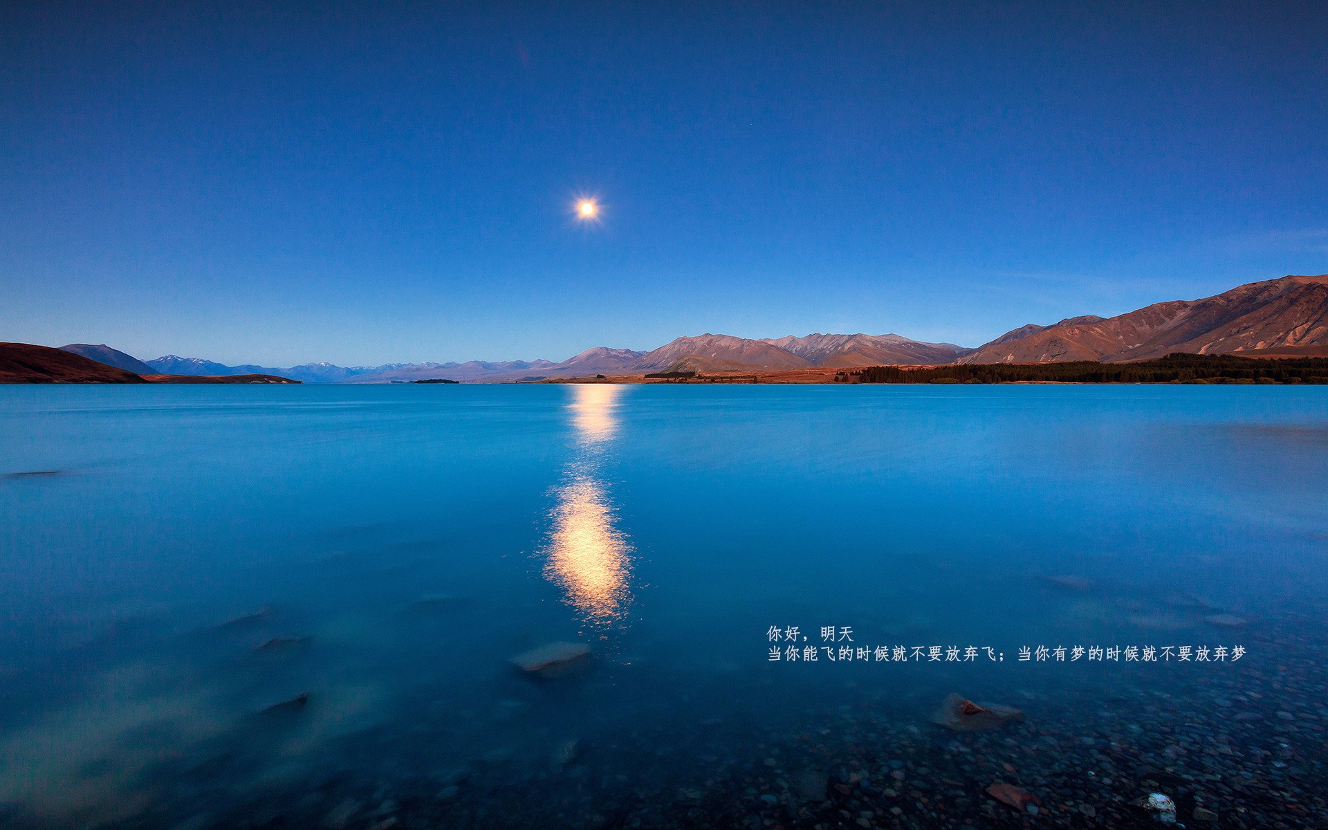 地方篮球联赛多样化举办激发地区篮球发展活力,地方篮协属于什么单位