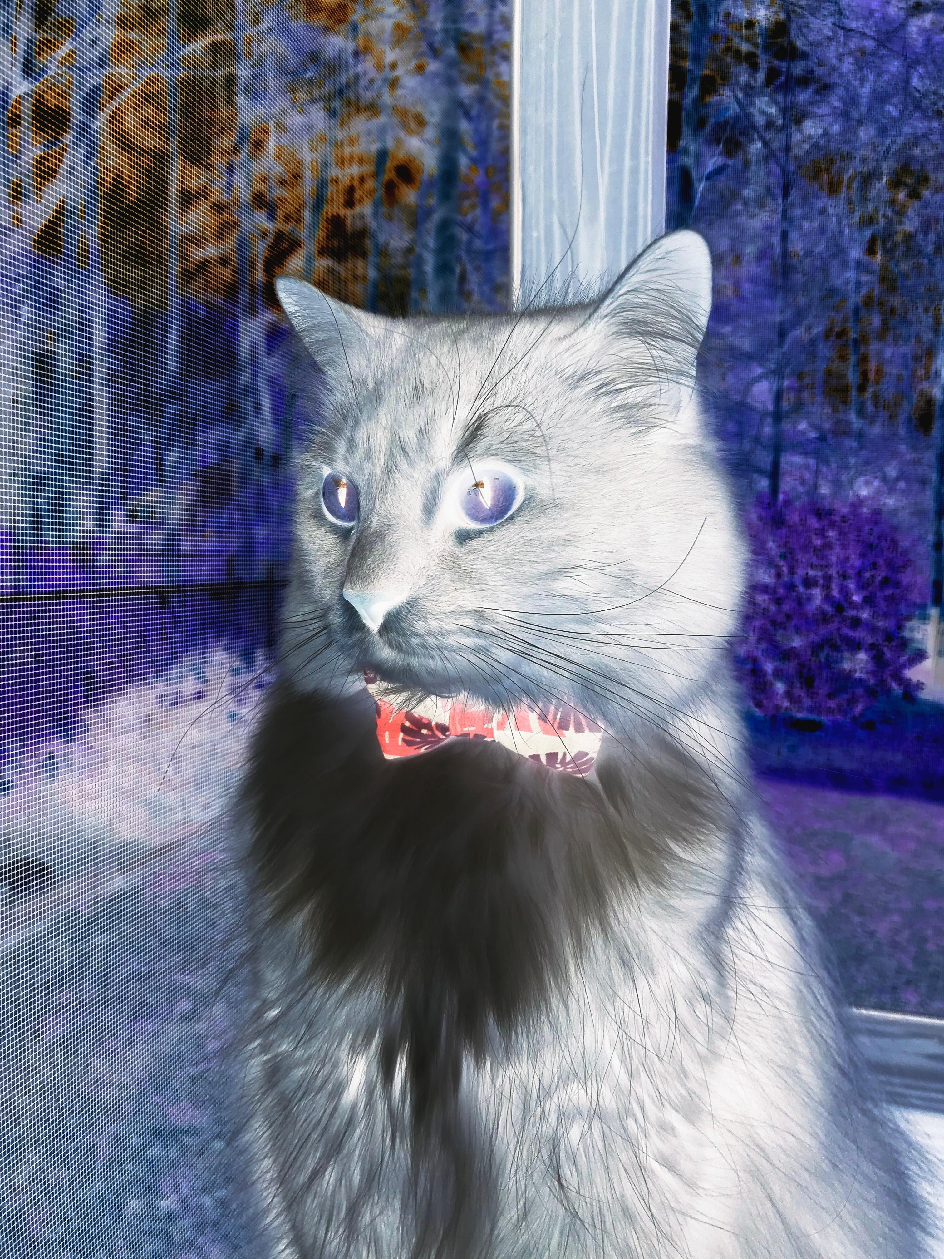 开云体育下载-德甲激烈拼刺：攻坚战中展现极限运动精神