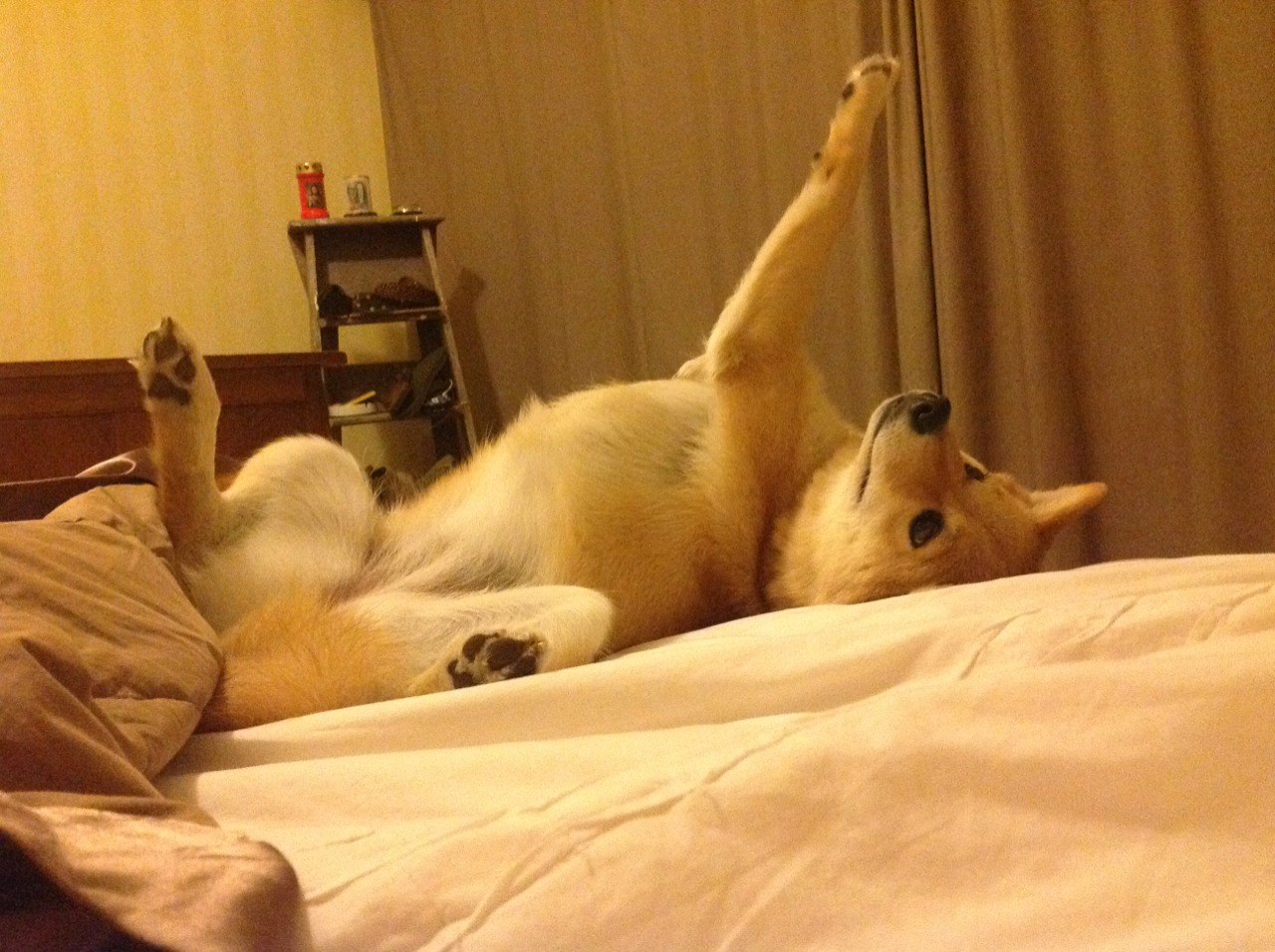 意甲超级联赛的未来发展策略,意甲超级杯比赛时间