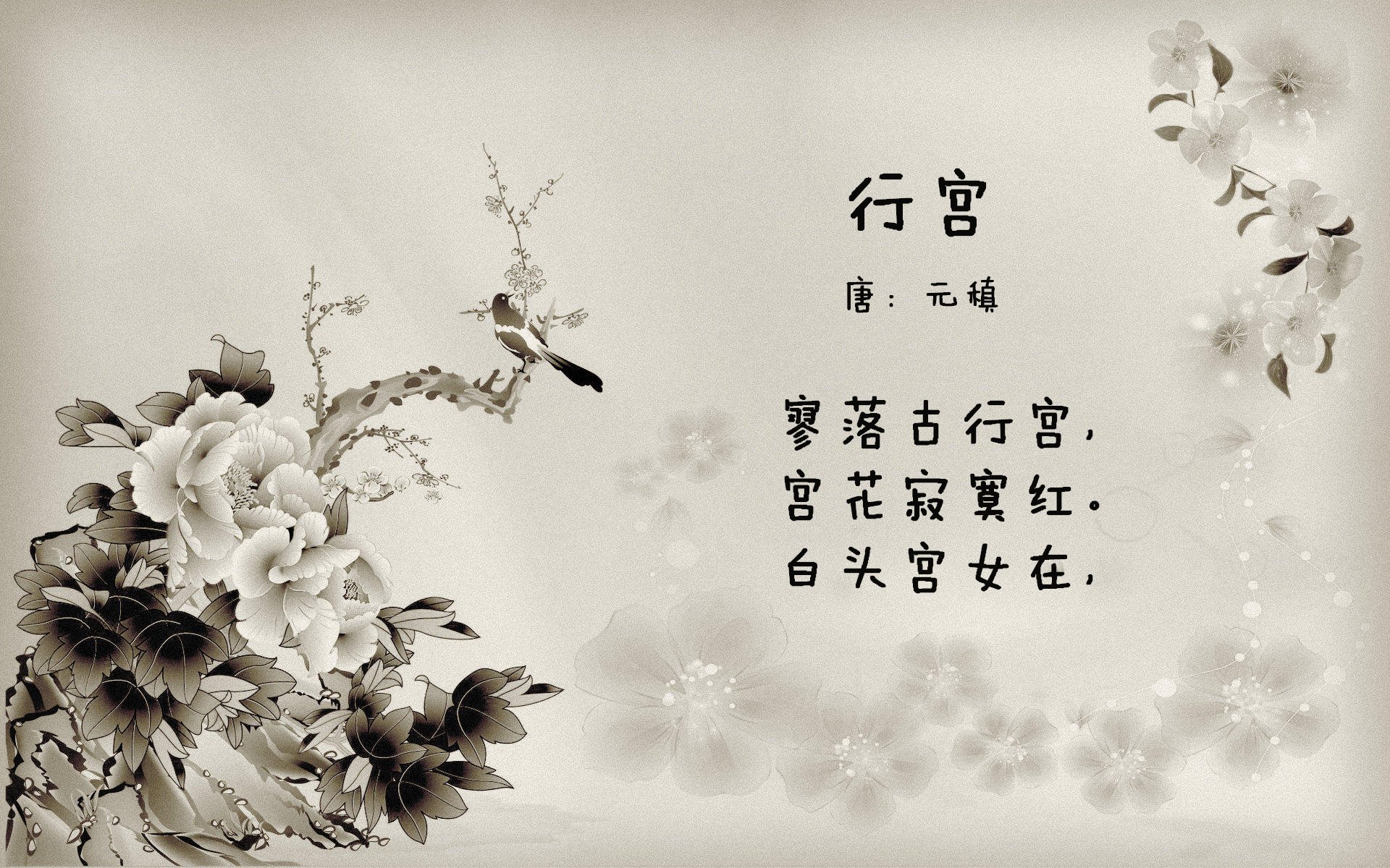 斯洛伐克女篮在欧洲锦标赛中表现不俗,逐步走向世界舞台