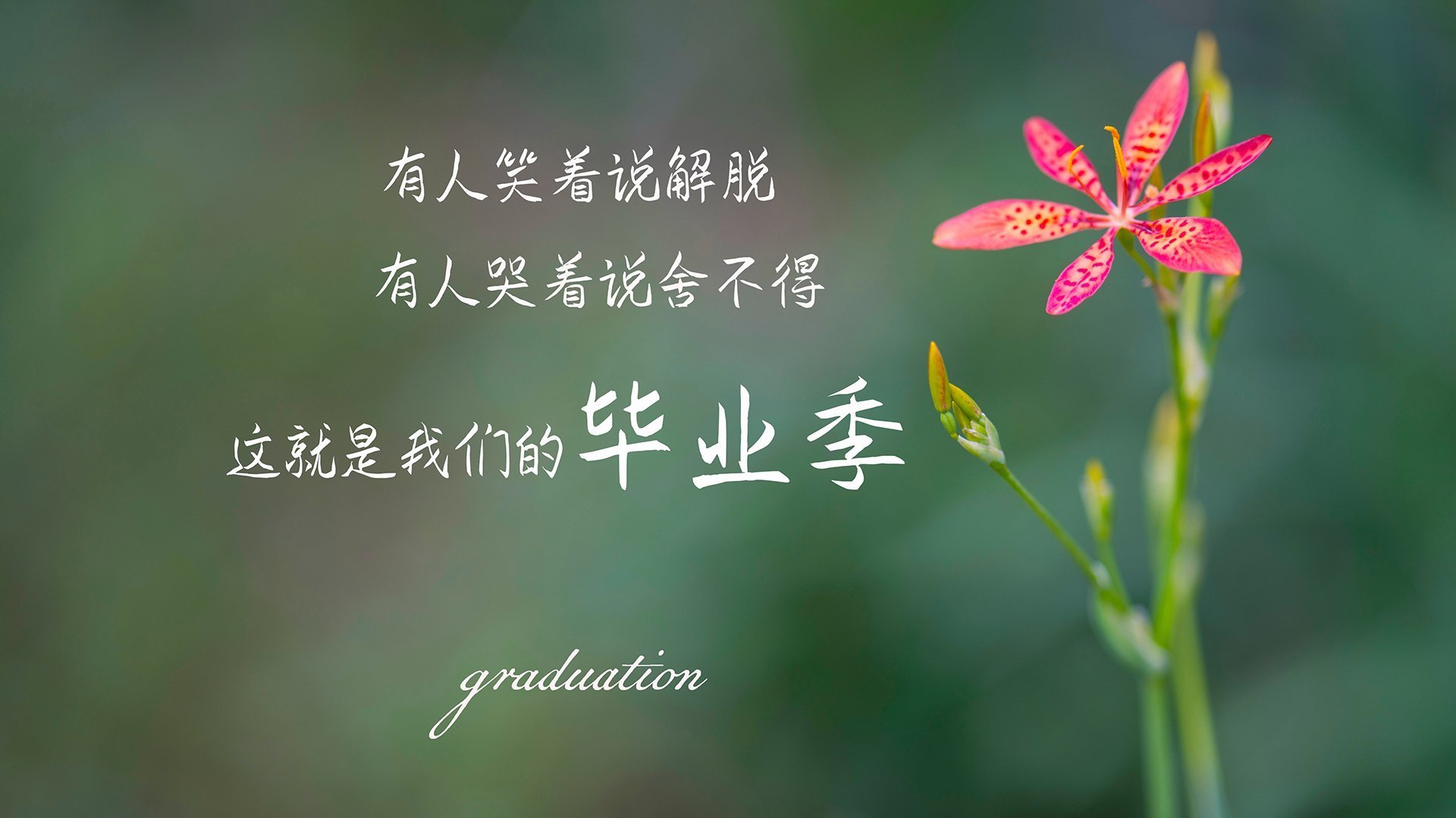 查默斯决赛表现引发媒体热议,查尔莫斯选秀