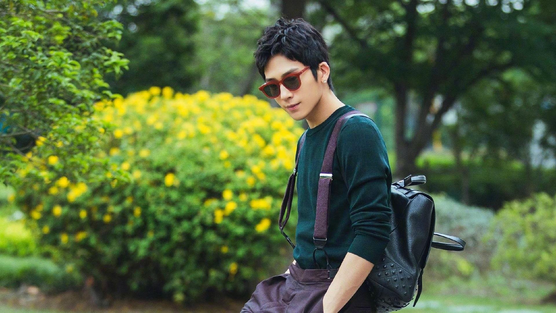 法甲惊天逆转:逆境中重生,成就奇迹,法甲介绍