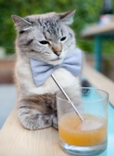 詹姆斯称团队合作是制胜核心要素，詹姆斯组织能力