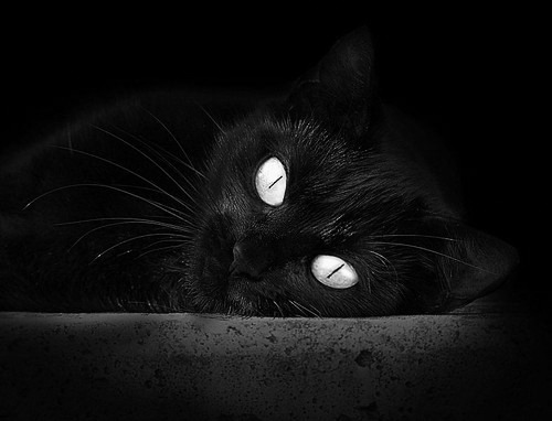 阿根廷青年军崭露头角，未来可期