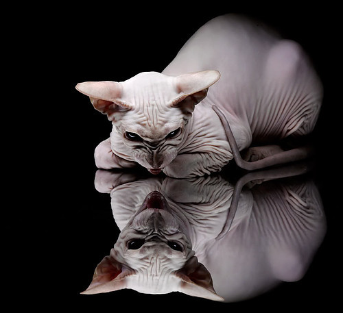 开云体育在线下载-青少年足球培训标准出台明确不同年龄段重点，青少年足球培训机构有哪些品牌