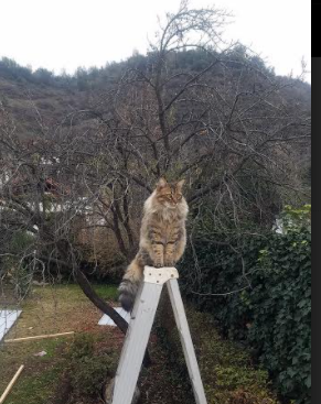 2.6万亿基金八年不亏，养老投资回报稳步增长，基金规模8亿适合定投吗